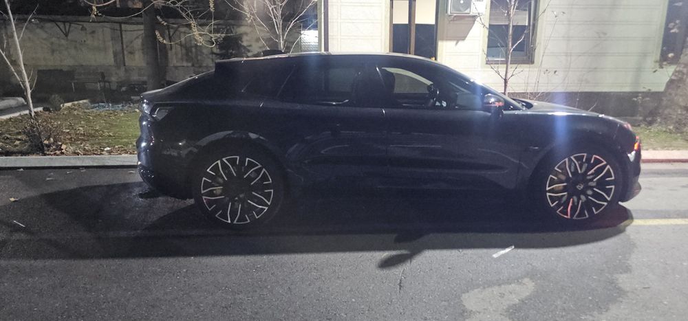 Zeekir 001 srochno sotiladi pul.zarur