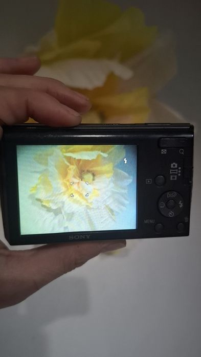 Компактен дигитален фотоапарат Sony Cybershot W510