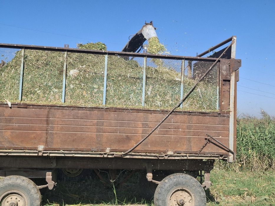 Силос       корма