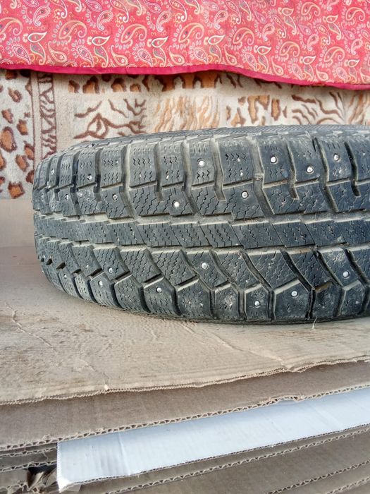 Қыстық балон жағдайы жақсы дискасымен дискасы Ларгустын дискасы