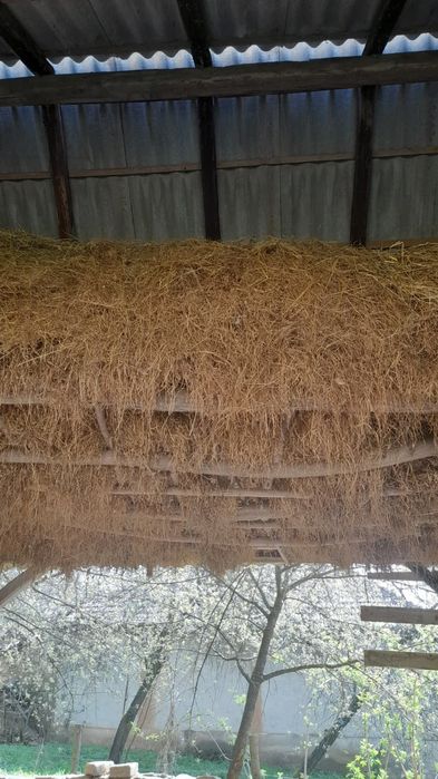 Fân de vânzare & otavă