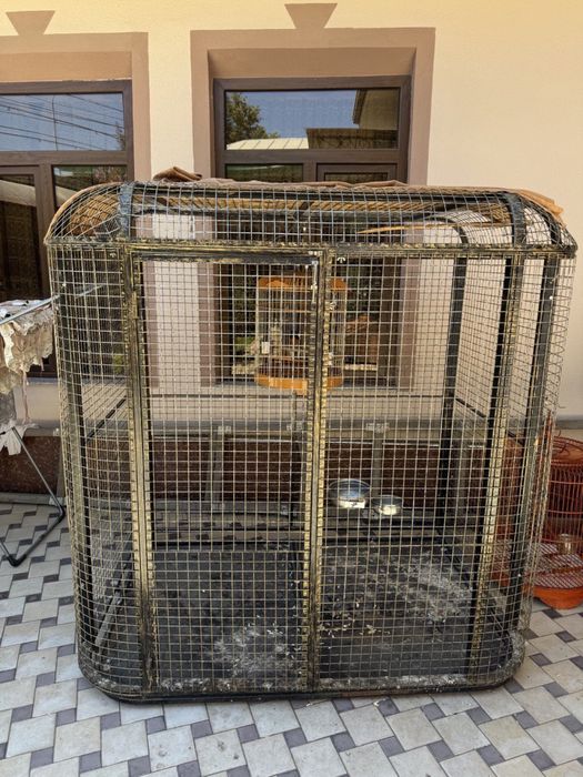 клетка для птицы