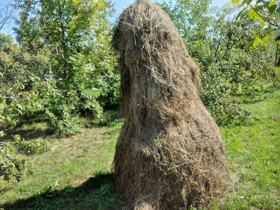 Vând fân şi otavă ecologică vrac
