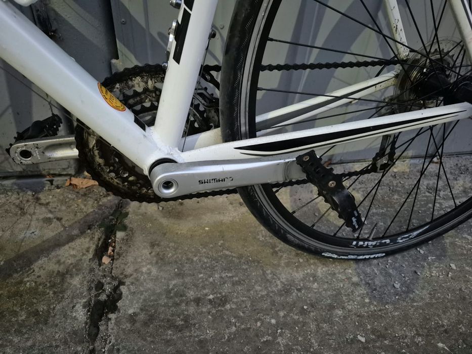 Bicicleta de sosea Cursiera