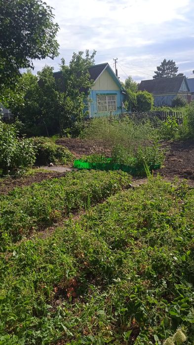 Продам дачу "Гудок"