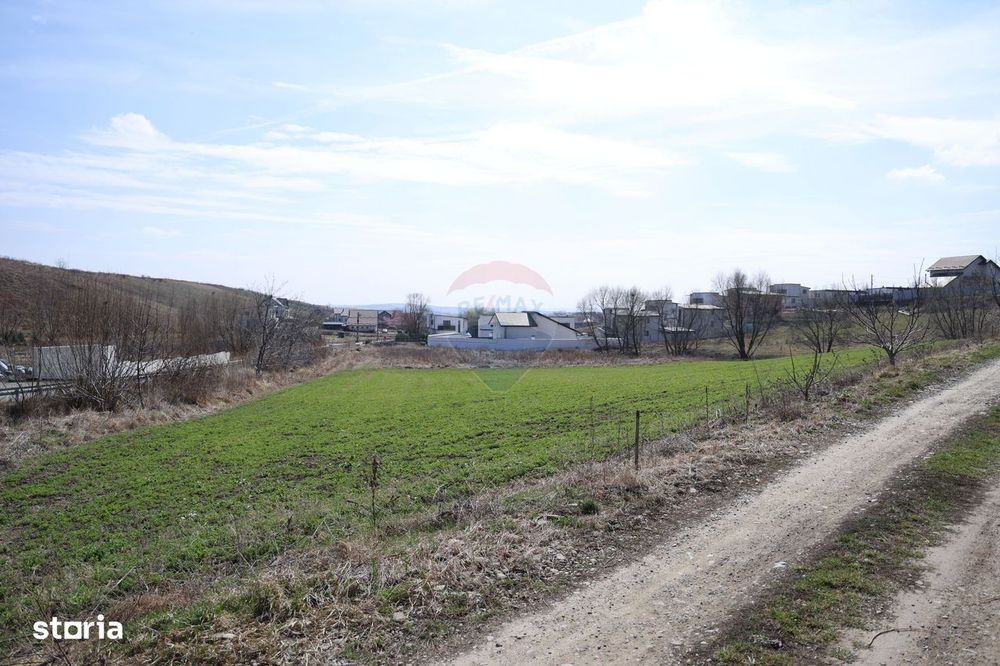 Teren 3,500mp Moara / Strada Pprincipala