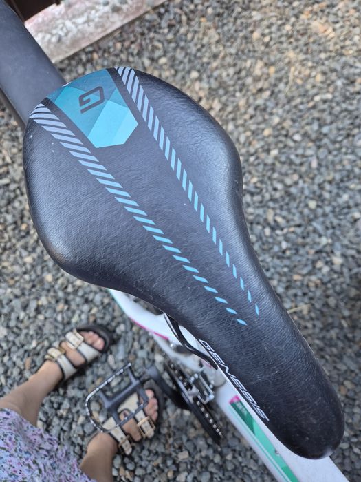 Bicicleta Genesis Zeta