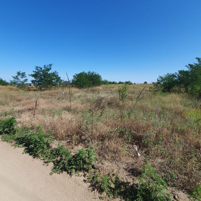 Oferta!!   Teren intravilan Malu Mare 1500 mp - strada Salcamilor