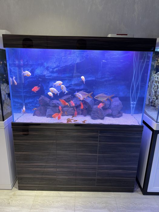 Аквариум премиум класса Aquashop