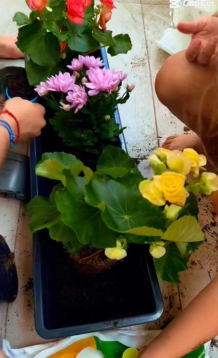 CENTRU EDUCATIONAL - afterschool sector 4, Bucuresti