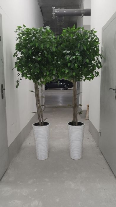 Искусственные деревья