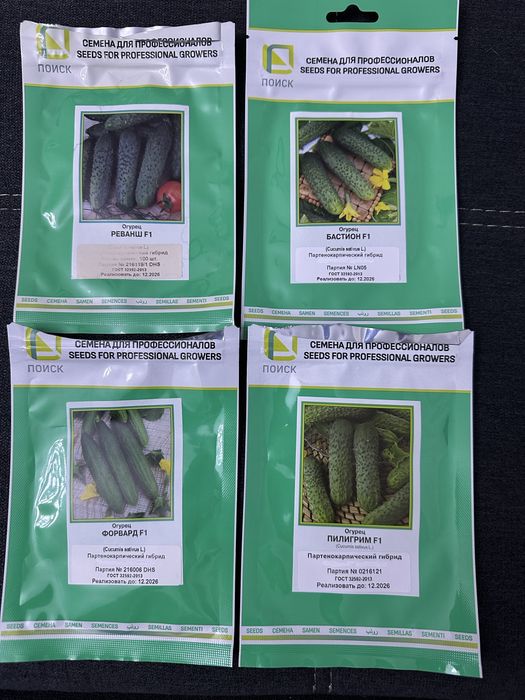 Профессионалтные семена Поиск