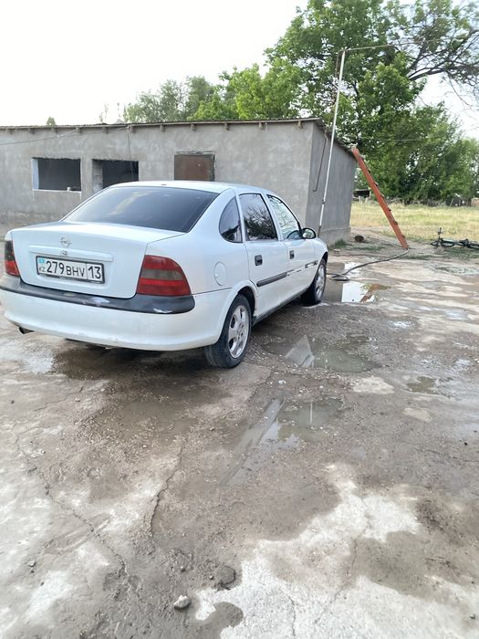 Бұзаулы сиырға ауыстырамын