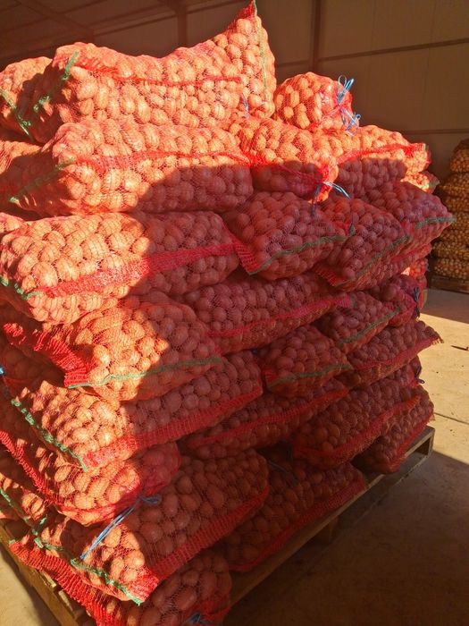 Cartofi samanta alb si rosu