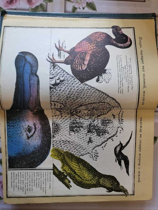 Сквозь ярость бурь: Книга о мореплавателях