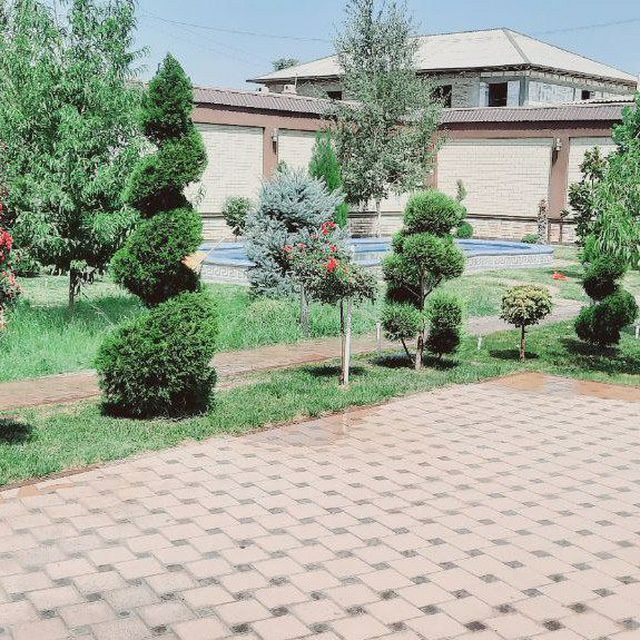 Archalar dekarativni daraxlar mevali daraxlar