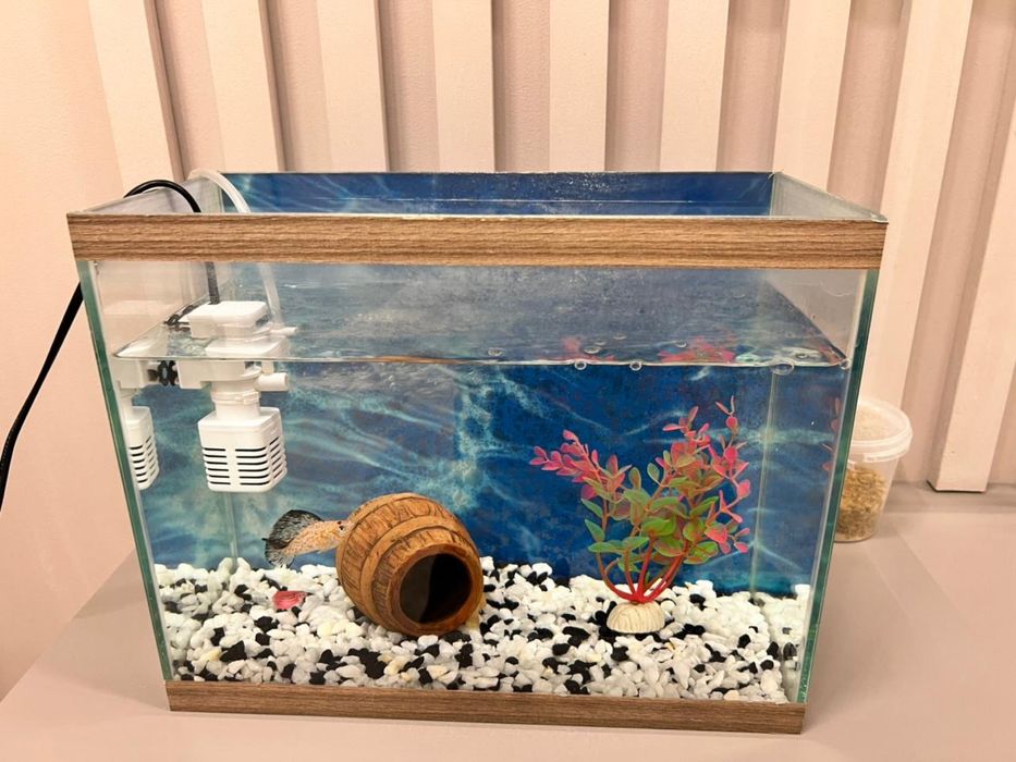 Продам Аквариум