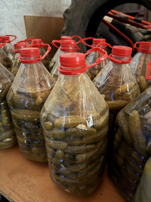 Castraveti murati