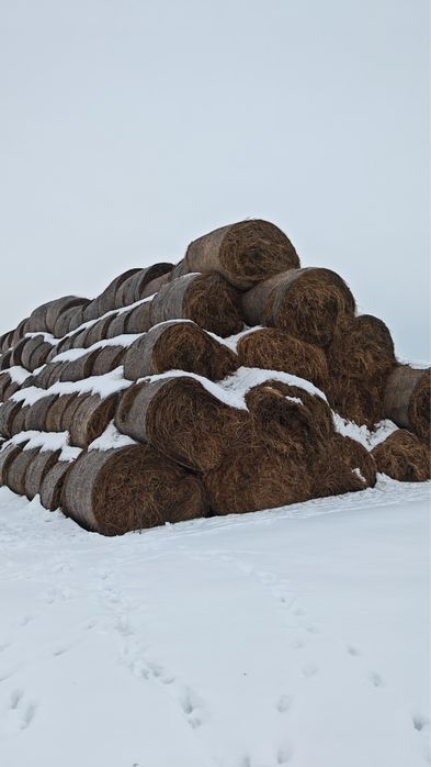 Сено, костер, солома люцерна, солома