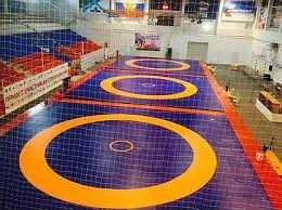 Борцовский ковер 6м х 6м