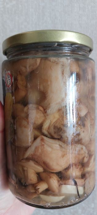 продам грибы  маслята