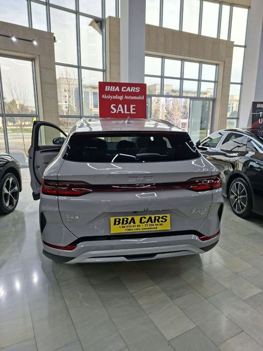 Byd. Chempion Smart ev2025