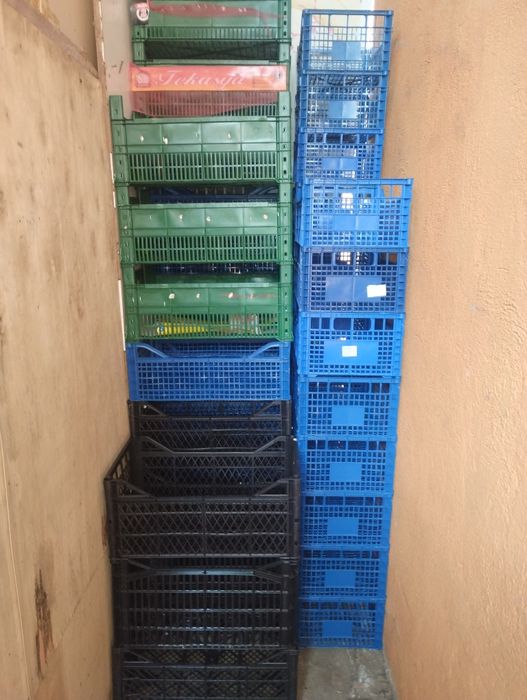 Lădițe plastic folosite