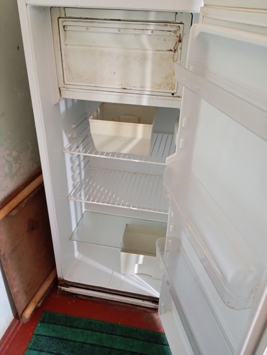 Холодильник янгидек