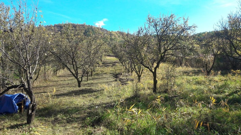 Teren de vanzare