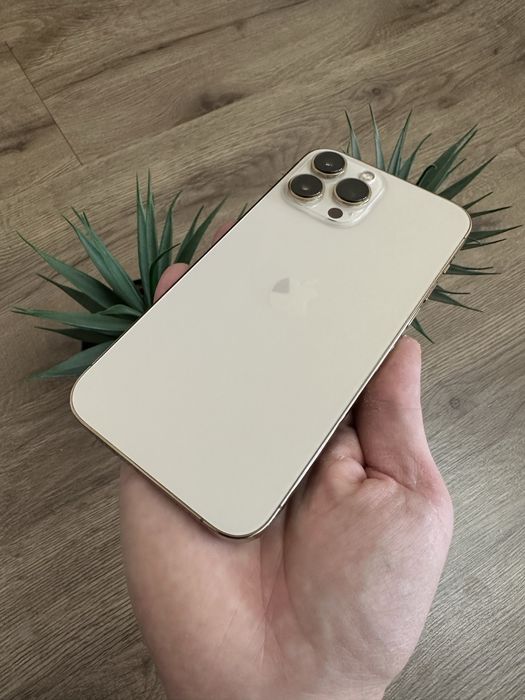 Iphone 13 pro max 512 79%