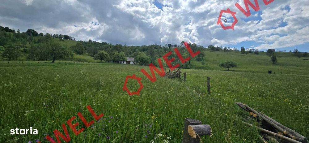 Teren de vânzare în zona Nades, comuna Bărcani!