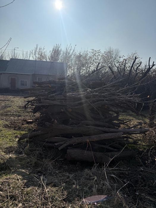 Тегін отын бар.  Бесплатные дрова