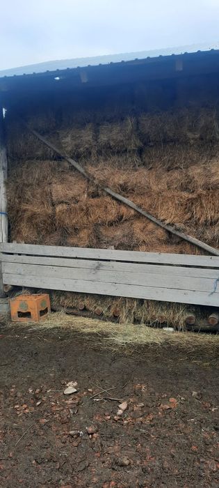 Vând baloți de fân