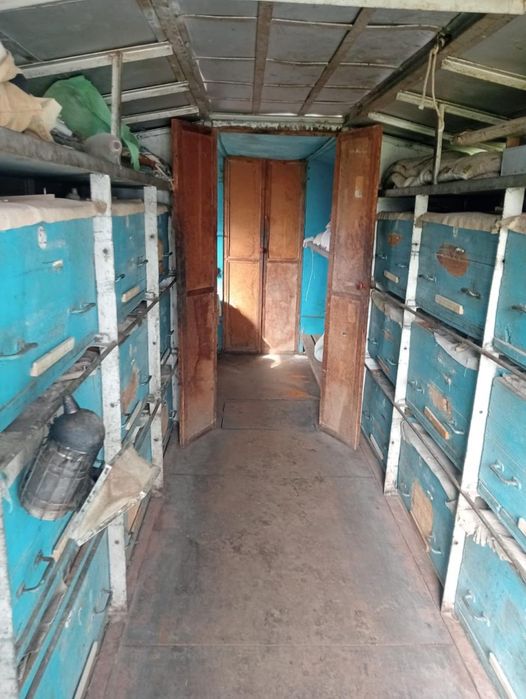 Пчелоприцеп с пчелами