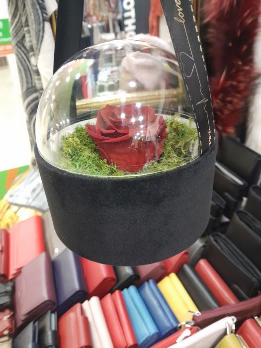 Жива роза от Еквадор