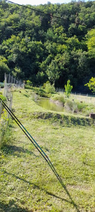 De vânzare balta de pescuit