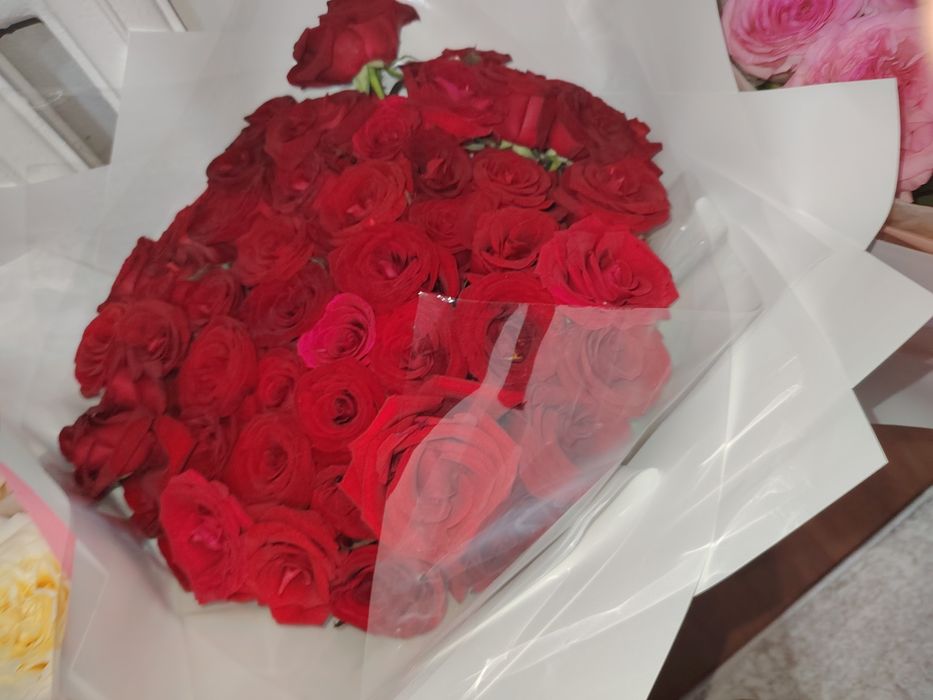 Продам красные розы