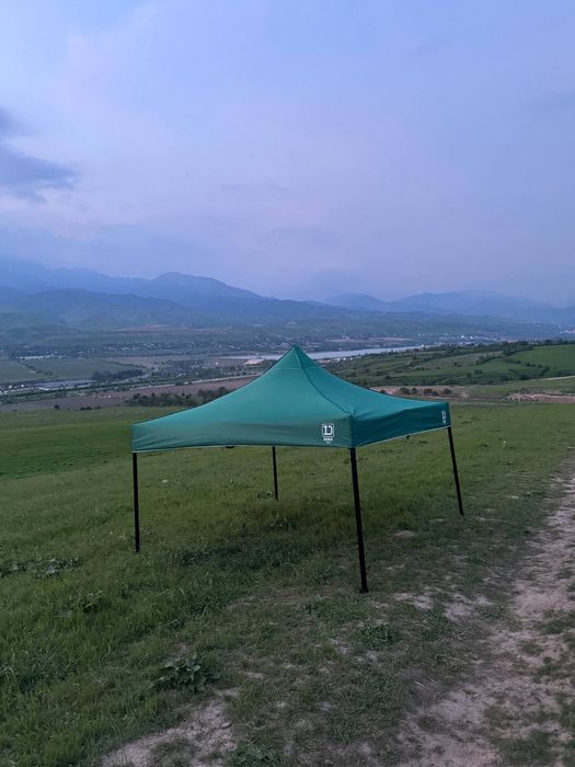 Dima zo’ntik orginal