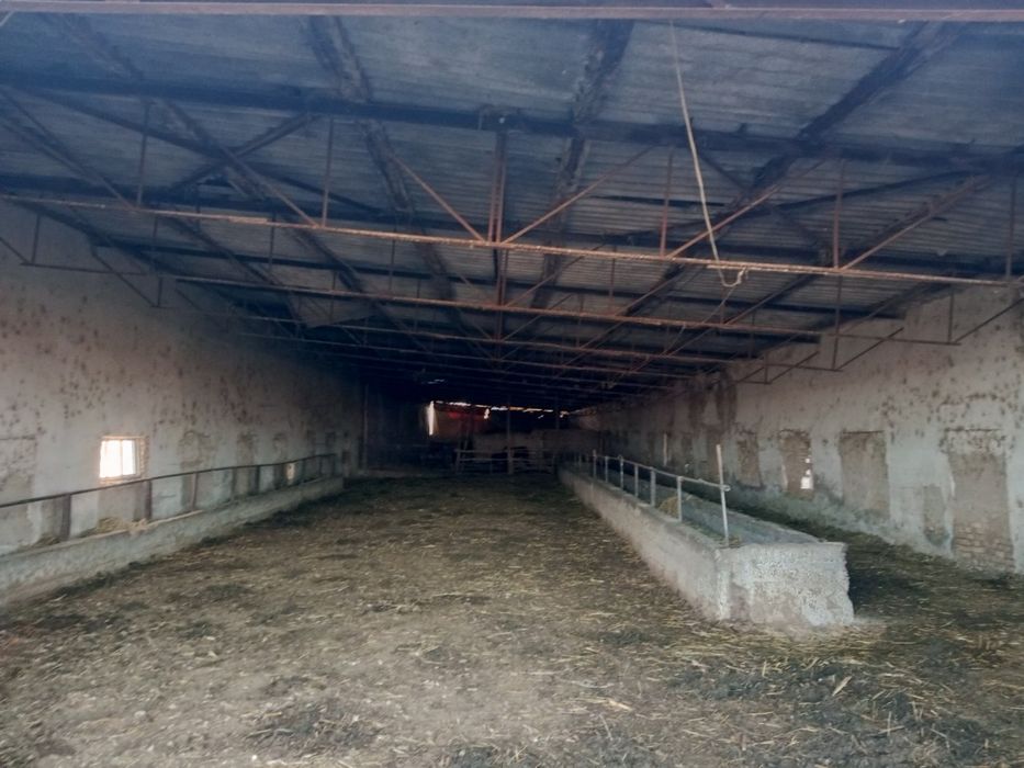 Ferma molxona naveslari bilan