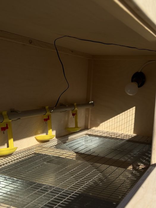 Брудеры для выращивания цыплят