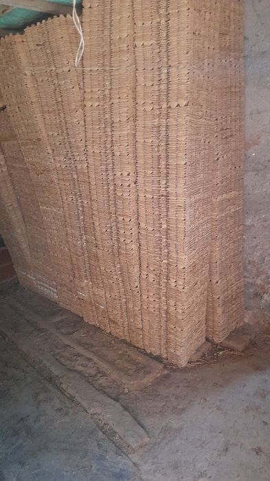 Ячейки тұқым жәшігі