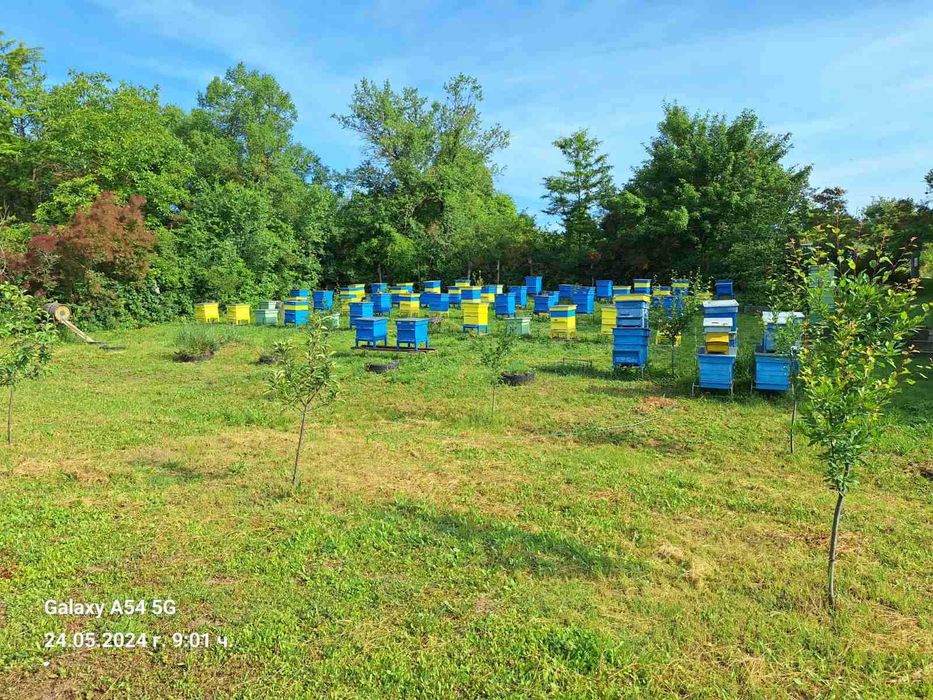 Продава се Къща в Исперих - 1151 кв.м за 10 €/кв.м - Снимка #2