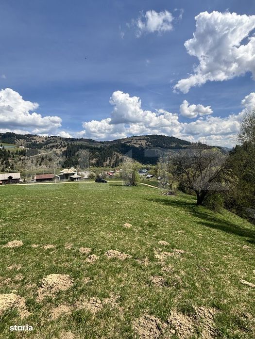 Teren in Vatra Dornei, str Rosu, 8450 mp, extravilan + intravilan