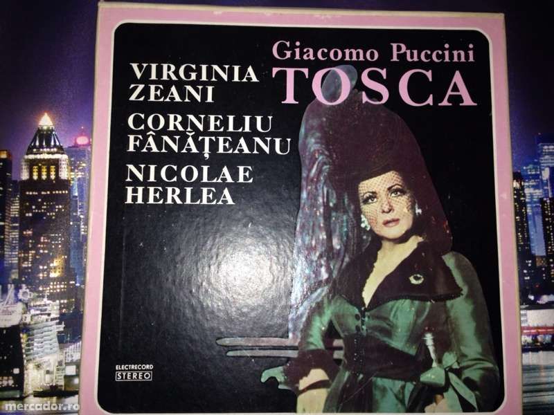 Discuri de vinil