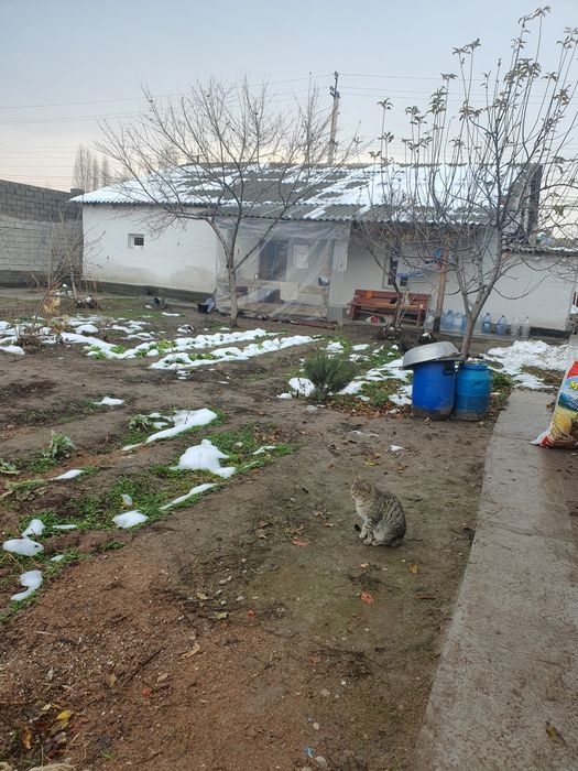 Продаю дом 11 соток