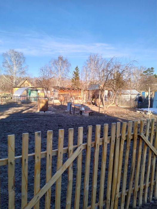 Дача в дачном обществе Сансевьера