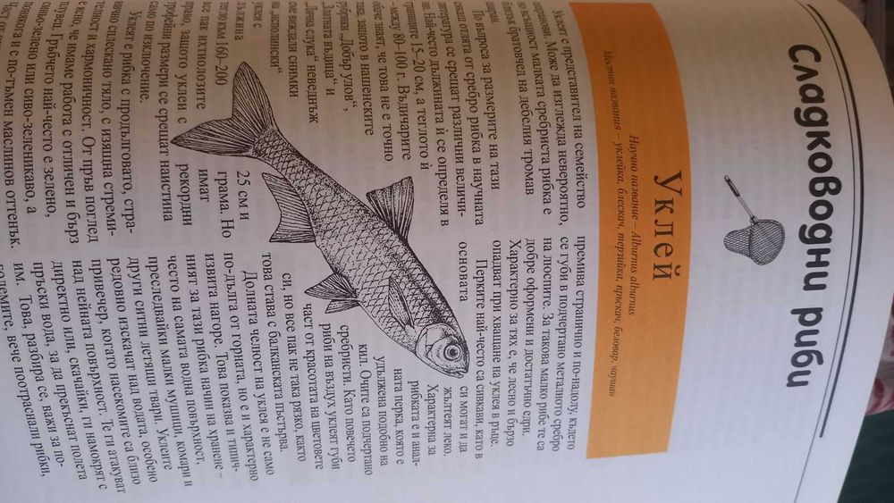 Българска риболовна енциклопедия