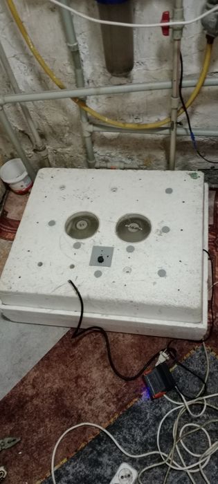 Инкубатор сатылды