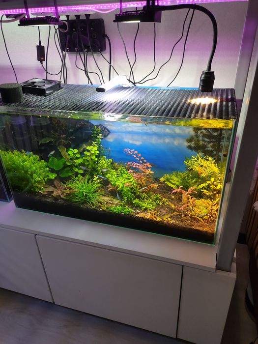 Аквариум AQUAEL 105 л.