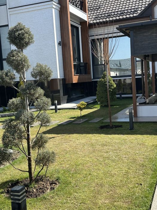 Газон Автополив под ключ